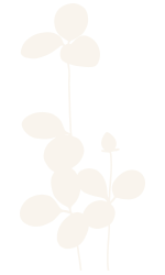 Relaxation Massage